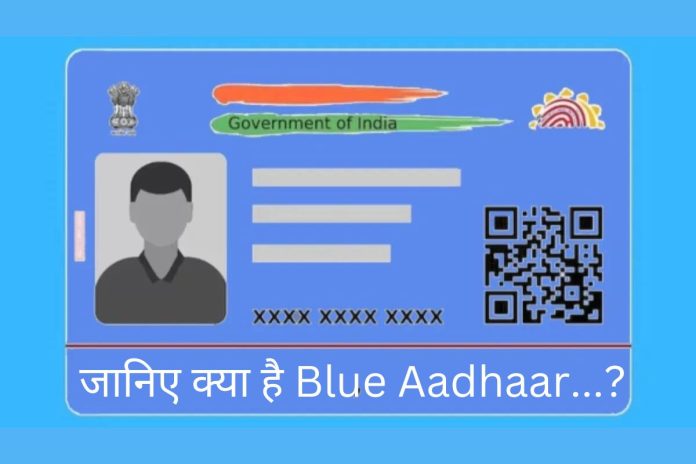 Blue Aadhaar